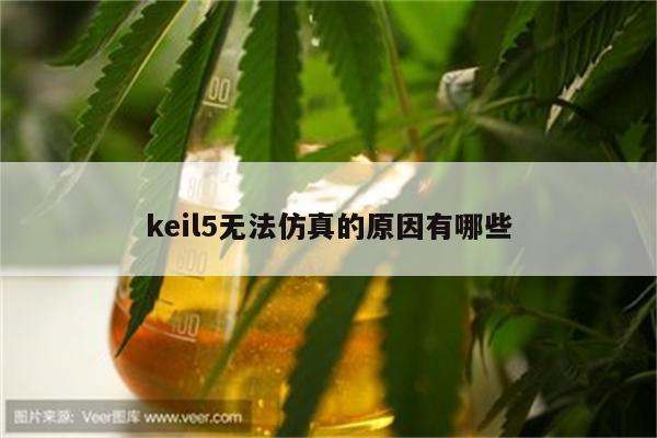 keil5无法仿真的原因有哪些