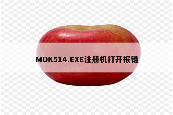 MDK514.EXE注册机打开报错